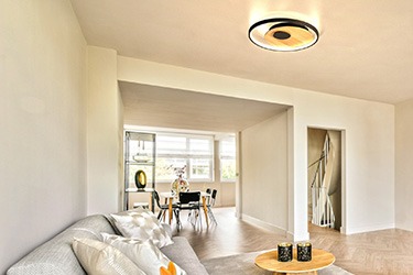 Дневна Дневна